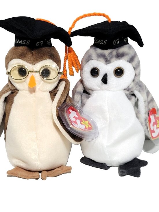 Ty Other - TY Beanie Baby Wise & Wiser the Owls Class of 1998 & 1999 Lot of 2 Glasses Tags